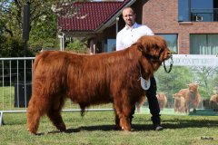 102-8-c-Red-Seumas-of-HCR-Lukas-Ader-Bad-Hersfeld-6