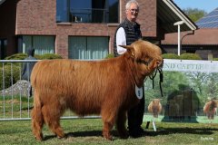 104-9-b-Jumper-vom-Zockeldraff-Manfred-Heinz-Scholen-2