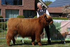 105-9-b-Jumper-vom-Zockeldraff-Manfred-Heinz-Scholen-3