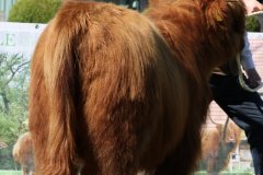 107-10-d-Varus-vom-Foerdewald-Dirk-Mitzkus-Flensburg-Engelsby-3