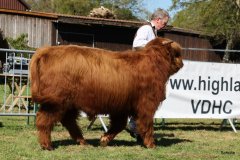 108-10-d-Varus-vom-Foerdewald-Dirk-Mitzkus-Flensburg-Engelsby-4