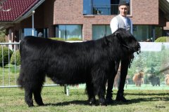 111-12-f-Cameron-Focx-of-Blocken-Norbert-u.-Ute-Hilgemeier-Diepenau-5