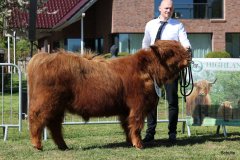 113-13-e-Cooper-vom-Kleinendorfer-Bruch-Hartmut-Rehling-Rahden-2