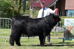 115-7-a-Myloe-vom-Jeetzetal-Heinz-Wapenhans-Kloetze-OT-Immekath-5