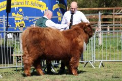 116-13-e-Cooper-vom-Kleinendorfer-Bruch-Hartmut-Rehling-Rahden-4