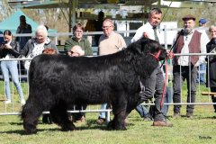 118-7-a-Myloe-vom-Jeetzetal-Heinz-Wapenhans-Kloetze-OT-Immekath-6