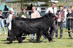 119-7-a-Myloe-vom-Jeetzetal-Heinz-Wapenhans-Kloetze-OT-Immekath-7