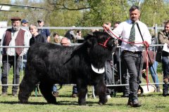 121-7-a-Myloe-vom-Jeetzetal-Heinz-Wapenhans-Kloetze-OT-Immekath-9