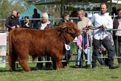 122-8-c-Red-Seumas-of-HCR-Lukas-Ader-Bad-Hersfeld-3