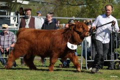 123-8-c-Red-Seumas-of-HCR-Lukas-Ader-Bad-Hersfeld-8