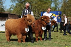 125-9-b-Jumper-vom-Zockeldraff-Manfred-Heinz-Scholen-8-c-Red-Seumas-of-HCR-Lukas-Ader-Bad-Hersfeld