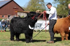 126-7-a-Myloe-vom-Jeetzetal-Heinz-Wapenhans-Kloetze-OT-Immekath-11