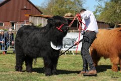 127-7-a-Myloe-vom-Jeetzetal-Heinz-Wapenhans-Kloetze-OT-Immekath-12