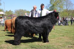 128-7-a-Myloe-vom-Jeetzetal-Heinz-Wapenhans-Kloetze-OT-Immekath-13