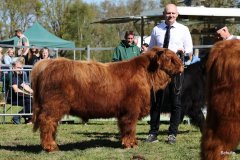 130-13-e-Cooper-vom-Kleinendorfer-Bruch-Hartmut-Rehling-Rahden-5