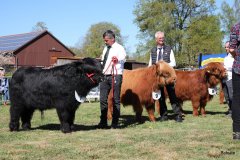 131-Bullen-Klasse-1a-2