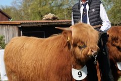 135-9-b-Jumper-vom-Zockeldraff-Manfred-Heinz-Scholen-5