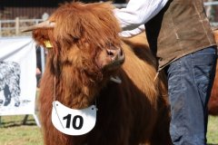 142-10-d-Varus-vom-Foerdewald-Dirk-Mitzkus-Flensburg-Engelsby-5