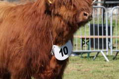 143-10-d-Varus-vom-Foerdewald-Dirk-Mitzkus-Flensburg-Engelsby-6