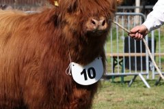 144-10-d-Varus-vom-Foerdewald-Dirk-Mitzkus-Flensburg-Engelsby-7