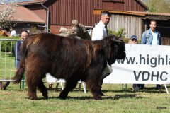 148-16-f-Murchadh-vom-Jeetzetal-Heinz-Wapenhans-Kloetze-OT-Immekath-2