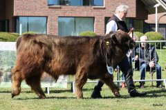 149-19-c-Uisdean-vom-Burghof-Karl-Heinrich-Winter-Bad-Berleburg