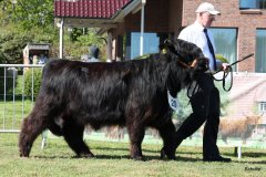 150-20-e-Prionssa-9.-vom-Weeser-Moor-Stefan-Wreczcki-Voltlage-Weese-6