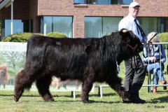 151-20-e-Prionssa-9.-vom-Weeser-Moor-Stefan-Wreczcki-Voltlage-Weese-7