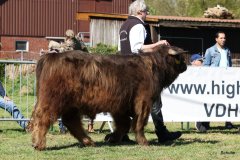 152-19-c-Uisdean-vom-Burghof-Karl-Heinrich-Winter-Bad-Berleburg-2