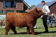 158-17-d-Oleander-5-vom-Storchennest-Norbert-u.-Ute-Hilgemeier-Diepenau