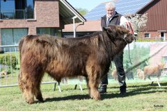 159-19-c-Uisdean-vom-Burghof-Karl-Heinrich-Winter-Bad-Berleburg-3