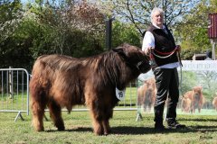 160-19-c-Uisdean-vom-Burghof-Karl-Heinrich-Winter-Bad-Berleburg-4