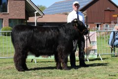 161-20-e-Prionssa-9.-vom-Weeser-Moor-Stefan-Wreczcki-Voltlage-Weese-8