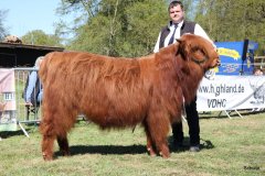 162-14-a-Eoin-Mhor-9th-of-Castle-Mathias-Pooch-Menslage-2