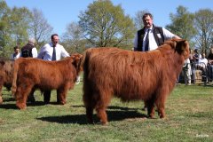 164-14-a-Eoin-Mhor-9th-of-Castle-Mathias-Pooch-Menslage-1