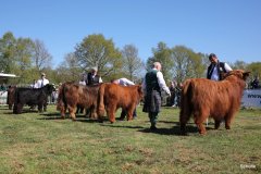 165-Bullen-Klasse-1b