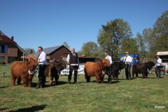 166-Bullen-Klasse-1b-2