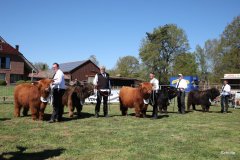 167-Bullen-Klasse-1b-3