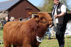 168-14-a-Eoin-Mhor-9th-of-Castle-Mathias-Pooch-Menslage-4