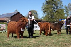 169-Bullen-Klasse-1b-4