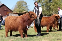 170-14-a-Eoin-Mhor-9th-of-Castle-Mathias-Pooch-Menslage-5