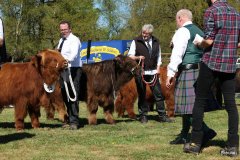 171-16710-d-Varus-vom-Foerdewald-Dirk-Mitzkus-Flensburg-Engelsby6A0832