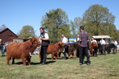 172-Bullen-Klasse-1b-5