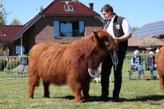 173-14-a-Eoin-Mhor-9th-of-Castle-Mathias-Pooch-Menslage-6