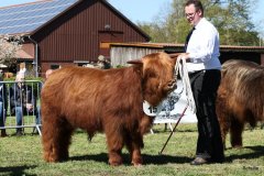 175-15-b-Crown-Mor-2nd-vom-Sunderberg-Familie-Bange-Brilon-Scharfenberg-5