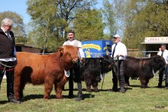 176-Bullen-Klasse-1b-6