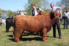 179-4-a-MC-Neill-vom-Buersteler-Feld-Andreas-Czich-Stuhr-12