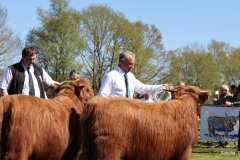 182-Auswahl-Klassensieger-Bullen-Klasse-1-2