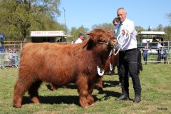 183-4-a-MC-Neill-vom-Buersteler-Feld-Andreas-Czich-Stuhr-13