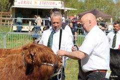 184-4-a-MC-Neill-vom-Buersteler-Feld-Andreas-Czich-Stuhr-14